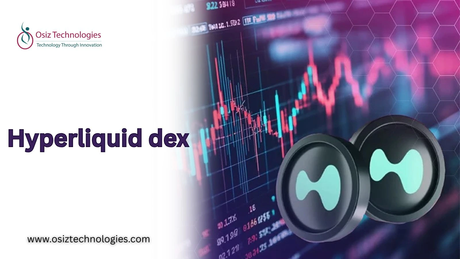 Hyperliquid Token Stands Out With Strong Year To Date Gains